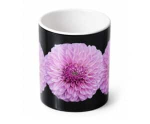 Tasse_Dahlias_Rose_CreateJune